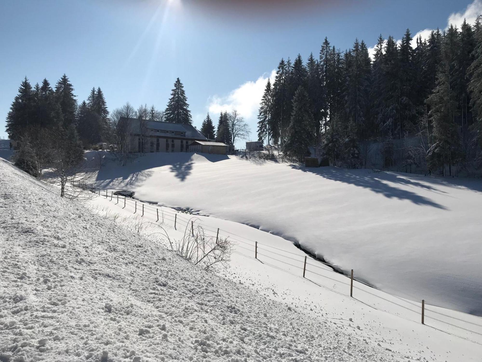 Waldhotel Auerhahn "Hochkopfhaus" Todtnau Extérieur photo