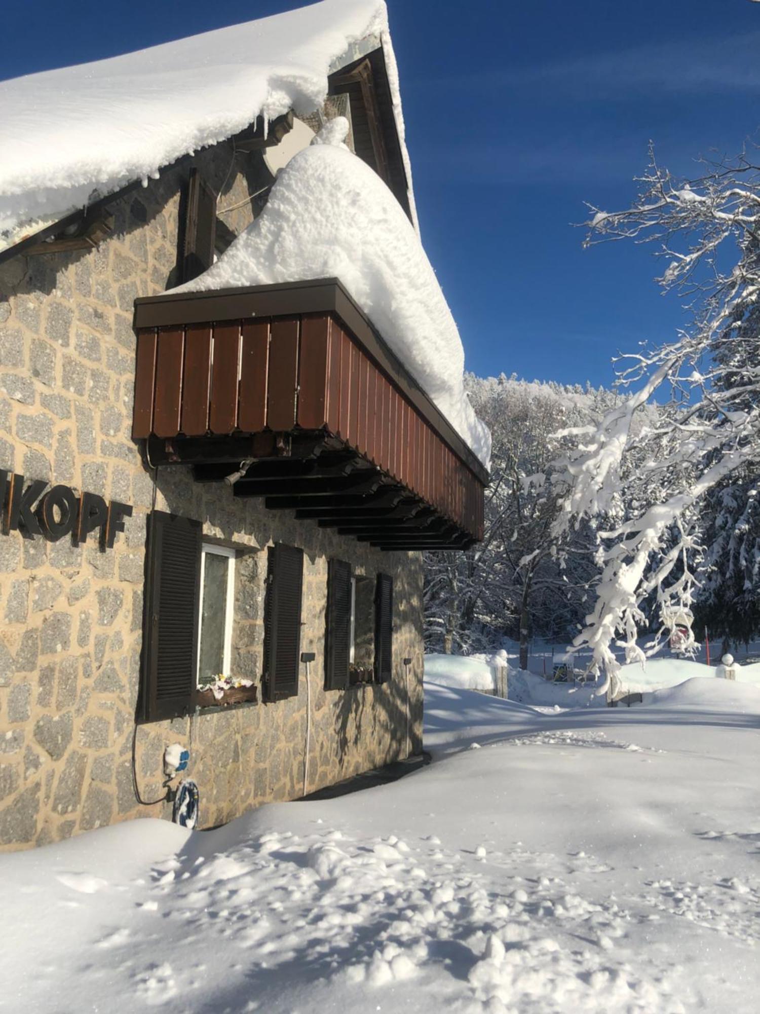 Waldhotel Auerhahn "Hochkopfhaus" Todtnau Extérieur photo